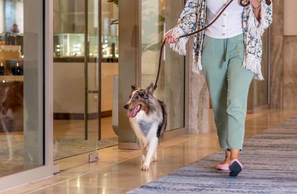 Woman walking with her dog at the resort, enjoying a relaxing and pet-friendly atmosphere.