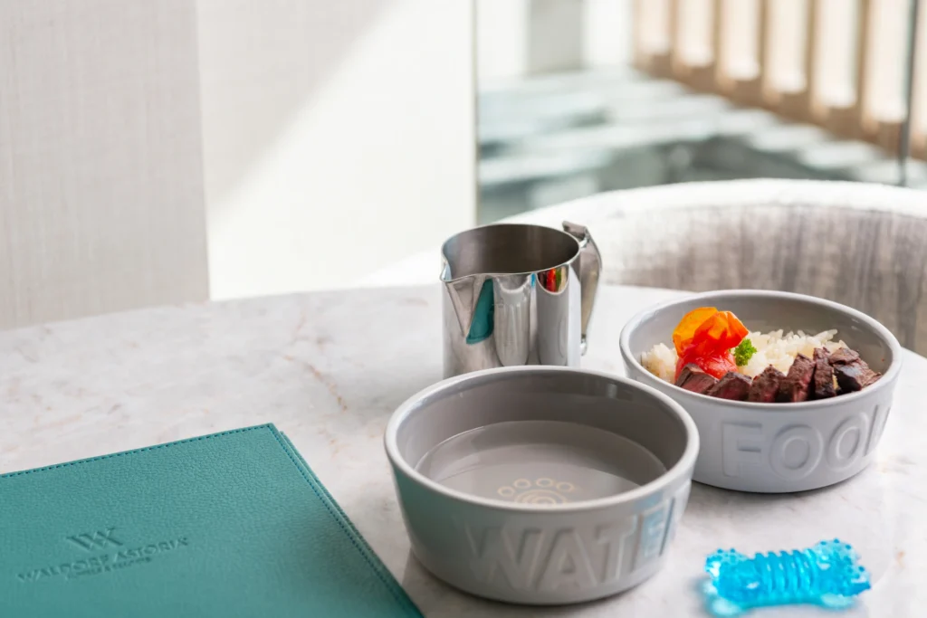 Dog food and water bowls, ready for pets to enjoy a comfortable and welcoming stay.