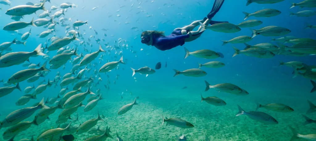 People snorkeling in clear, turquoise waters